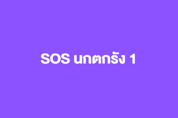 SOS นกตกรัง 1