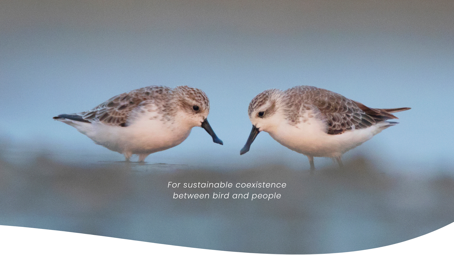 หน้าปก-2