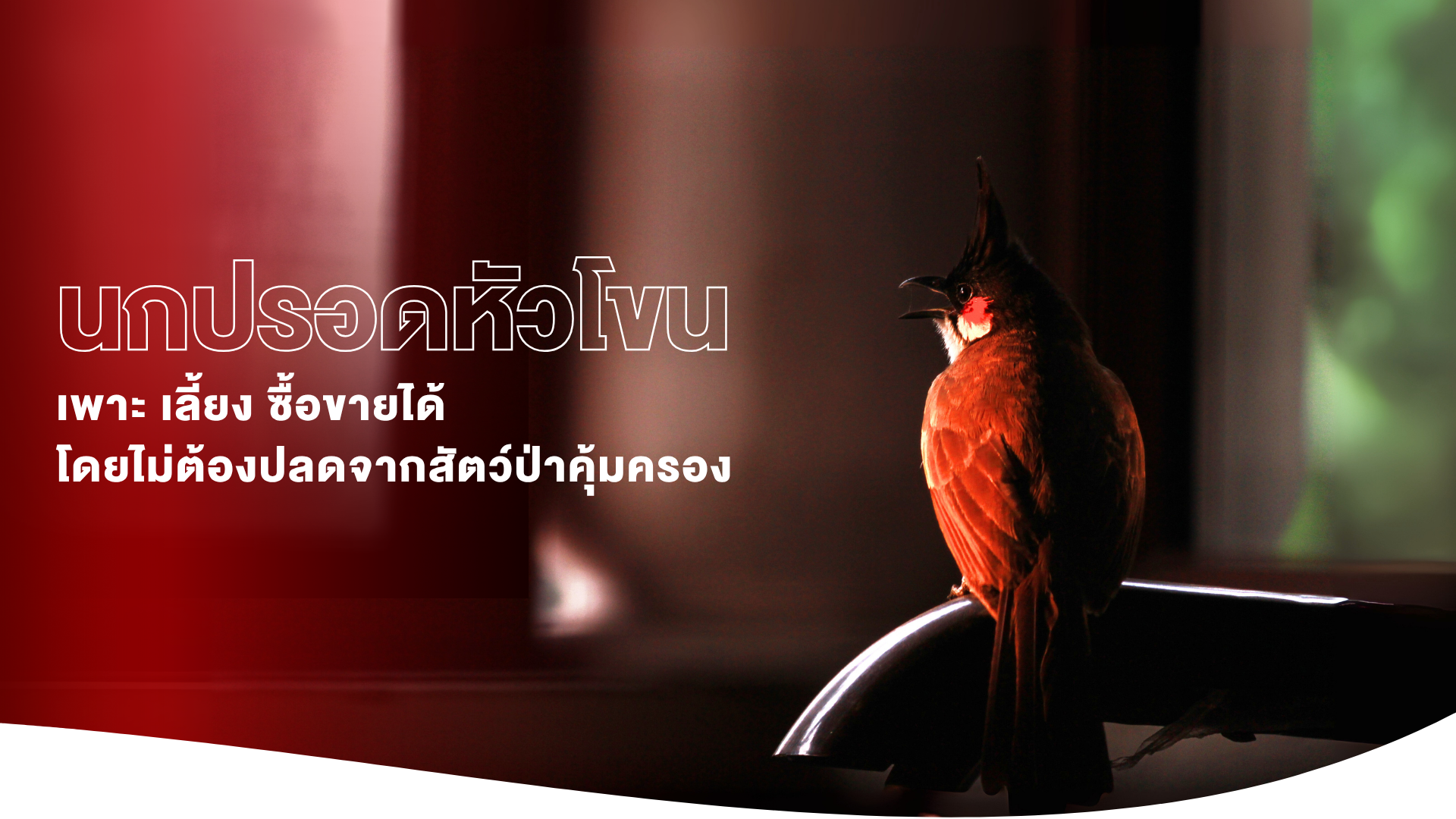 หน้าปก-3