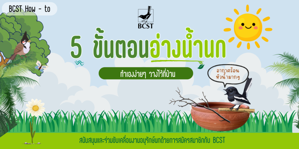 5 ขั้นตอนทำอ่างน้ำนก