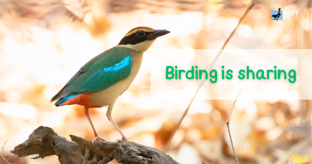 Birding is sharing