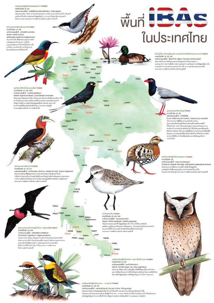 พื้นที่ IBAs ในประเทศไทย