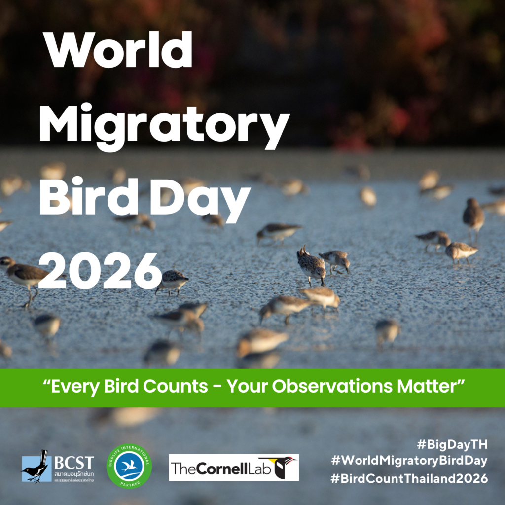 World Migratory Bird Day 2026