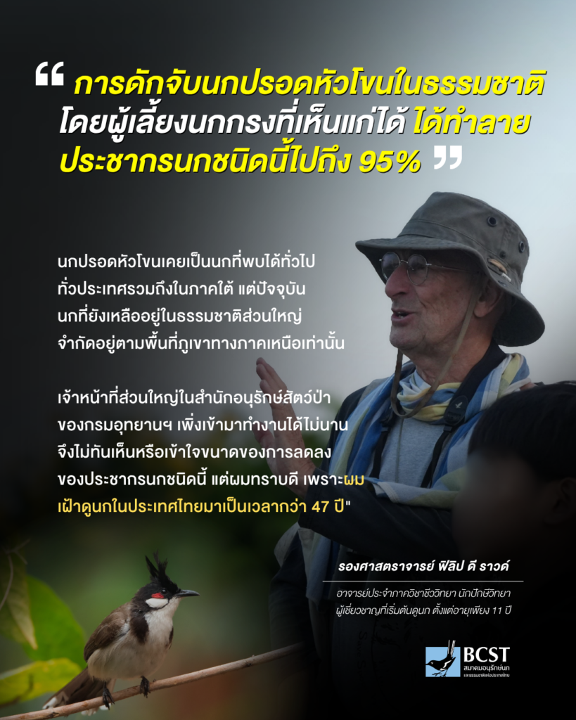 การดักจับนกปรอดหัวโขนในธรรมชาติ  - Assoc. Prof. Philip D. Round