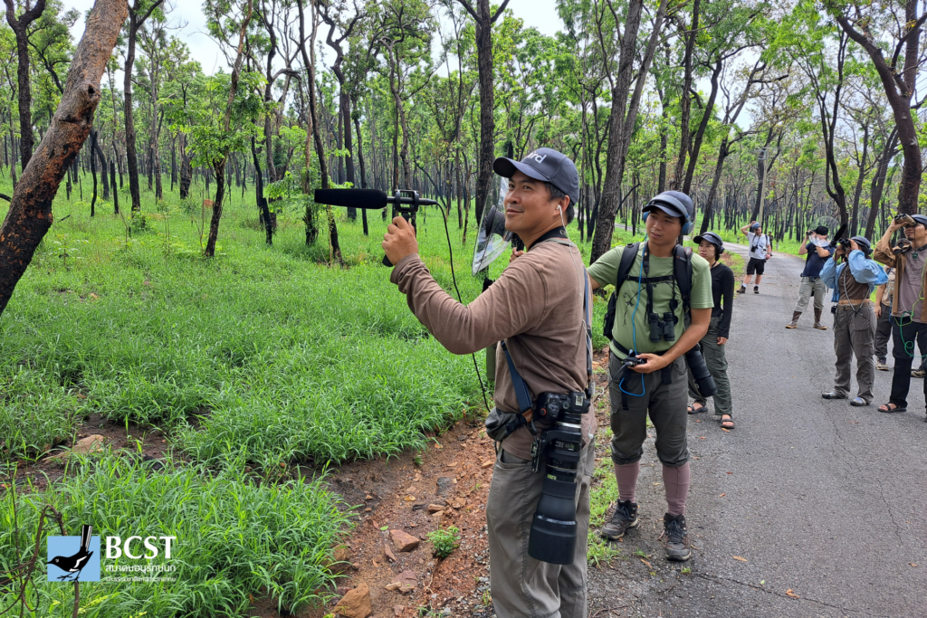 เวิร์กช็อปบันทึกเสียงนก