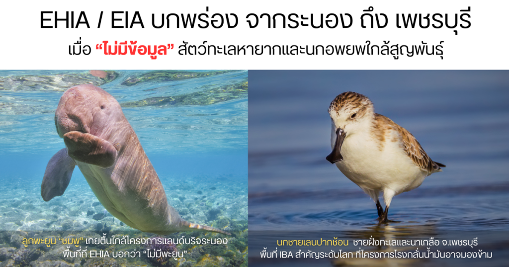 เมื่อรายงาน EIA/EHIA มองไม่เห็นสิ่งมีชีวิตที่ใกล้สูญพันธุ์?