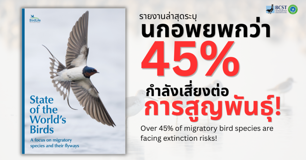 นกอพยพกว่า 45% ทั่วโลกกำลังเผชิญกับความเสี่ยงในการสูญพันธุ์!